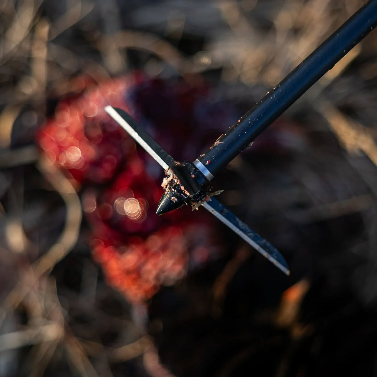 Products – Magnus Broadheads