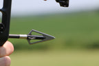 Stinger 4-Blade Broadhead 3-Pack